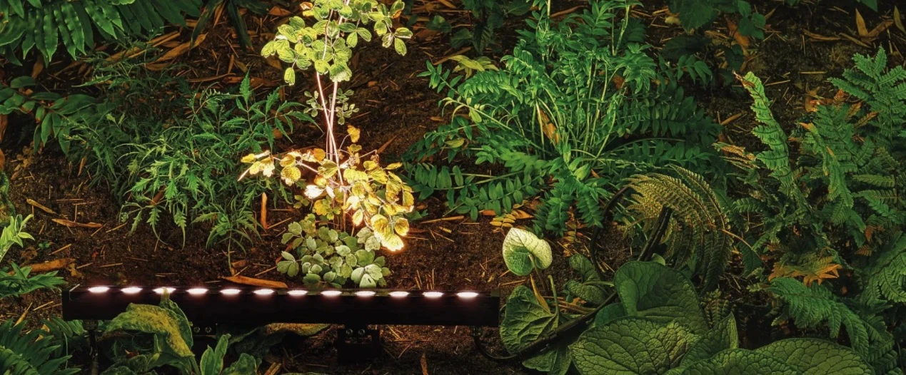 Suslight Sus Line 1000 - Afbeelding 3